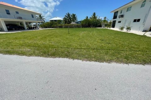 Land in Big Pine Key, Florida № 1753332 - photo 6