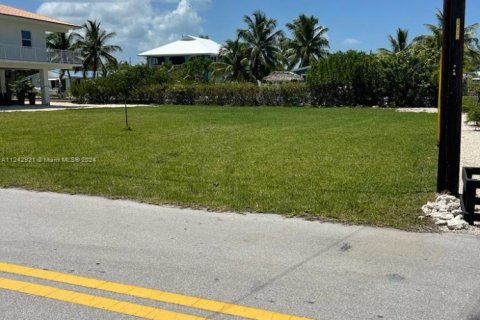 Land in Big Pine Key, Florida № 1753332 - photo 10