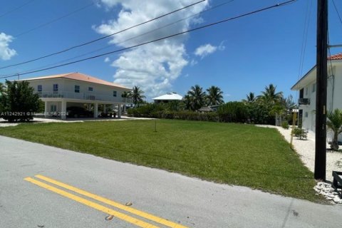 Land in Big Pine Key, Florida № 1753332 - photo 14