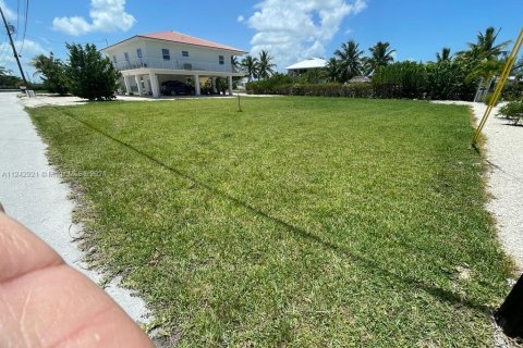 Land in Big Pine Key, Florida № 1753332 - photo 8