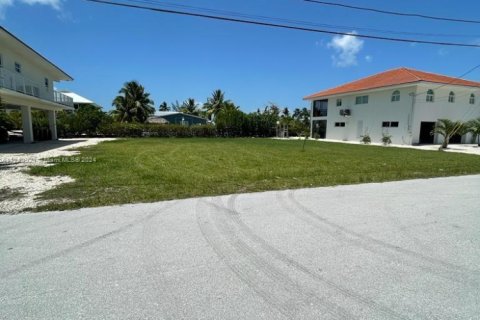 Land in Big Pine Key, Florida № 1753332 - photo 5