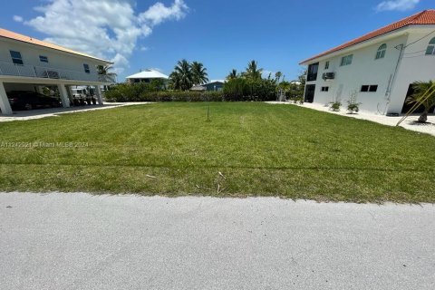 Land in Big Pine Key, Florida № 1753332 - photo 4