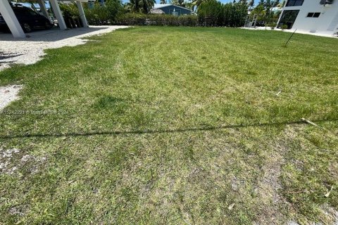 Land in Big Pine Key, Florida № 1753332 - photo 12