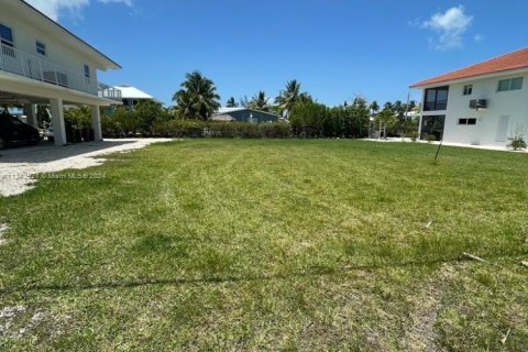 Land in Big Pine Key, Florida № 1753332 - photo 11