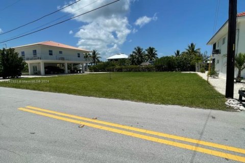 Land in Big Pine Key, Florida № 1753332 - photo 13