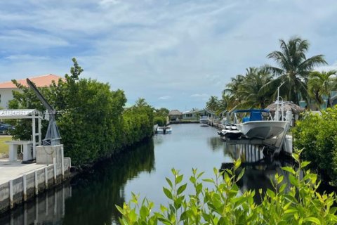 Land in Big Pine Key, Florida № 1753332 - photo 3