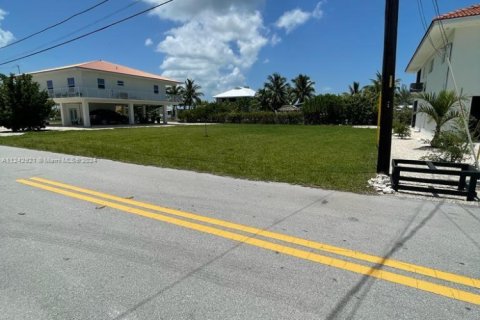 Land in Big Pine Key, Florida № 1753332 - photo 9