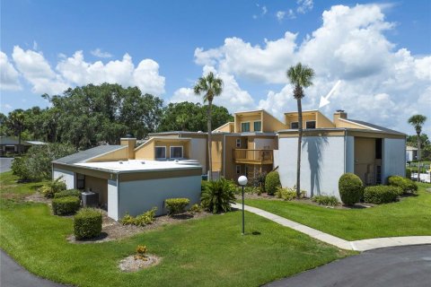 Condo à Mount Dora, Floride, 2 chambres № 2199739