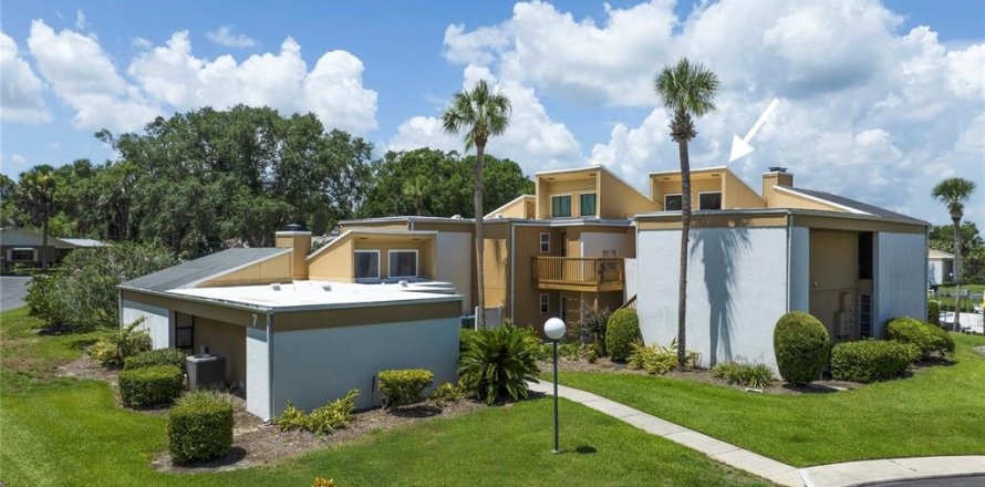 Condo à Mount Dora, Floride, 2 chambres № 2199739