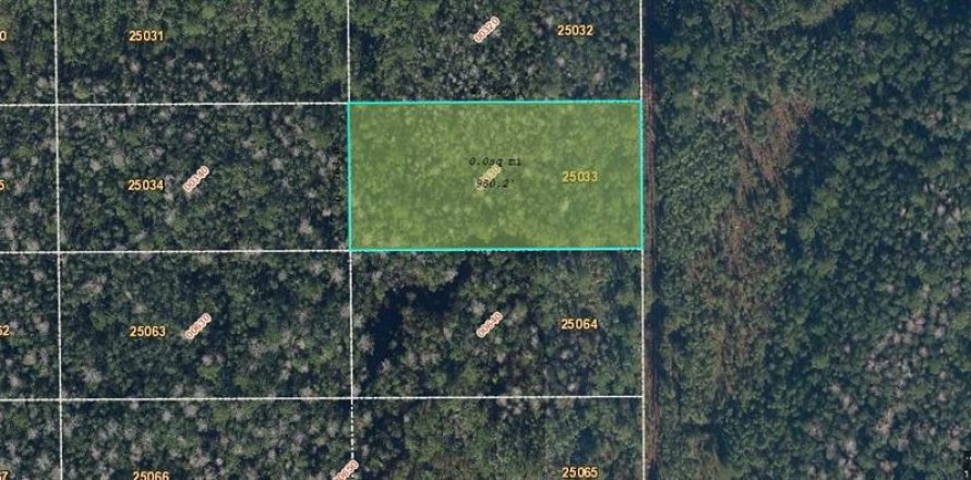 Land in Orlando, Florida № 2218736