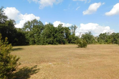 Land in Arcadia, Florida № 2213593 - photo 9