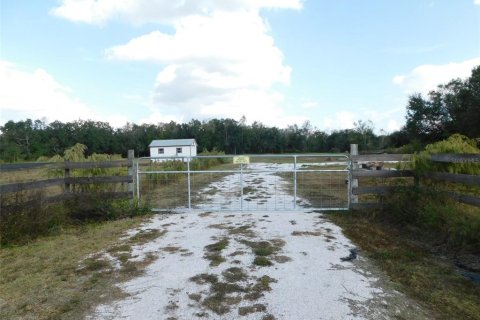 Land in Arcadia, Florida № 2213593 - photo 2