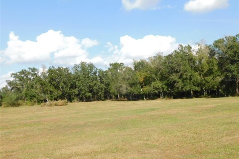 Land in Arcadia, Florida № 2213593 - photo 10