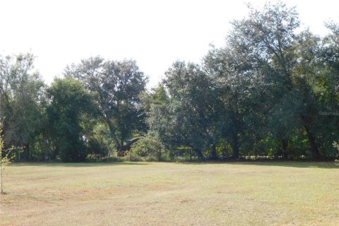 Land in Arcadia, Florida № 2213593 - photo 4