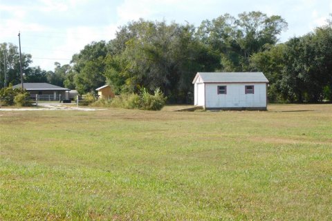 Land in Arcadia, Florida № 2213593 - photo 12