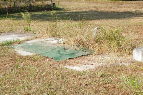Land in Arcadia, Florida № 2213593 - photo 25