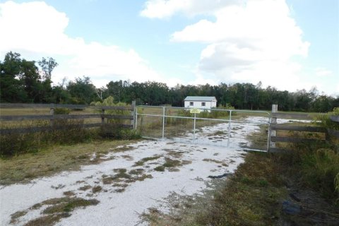 Land in Arcadia, Florida № 2213593 - photo 3