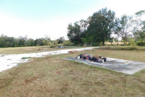 Land in Arcadia, Florida № 2213593 - photo 16