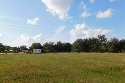 Land in Arcadia, Florida № 2213593 - photo 13