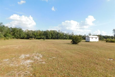 Land in Arcadia, Florida № 2213593 - photo 5