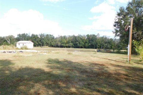 Land in Arcadia, Florida № 2213593 - photo 19
