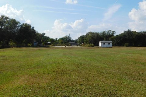 Land in Arcadia, Florida № 2213593 - photo 11