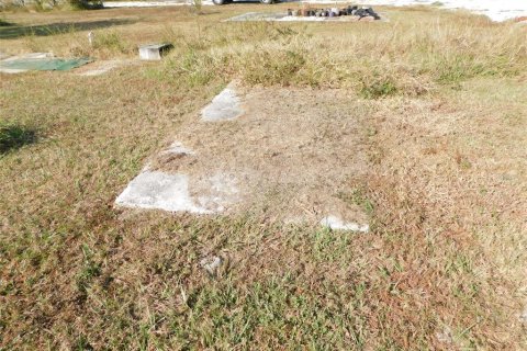 Land in Arcadia, Florida № 2213593 - photo 24