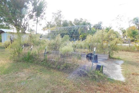 Land in Arcadia, Florida № 2213593 - photo 17