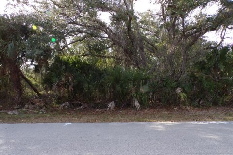 Land in North Port, Florida № 2165366