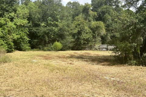 Land in Jacksonville, Florida № 771371 - photo 1