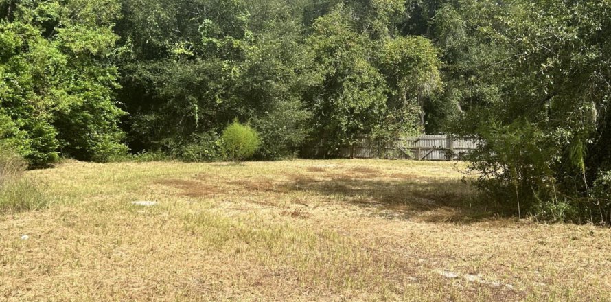 Land in Jacksonville, Florida № 771371