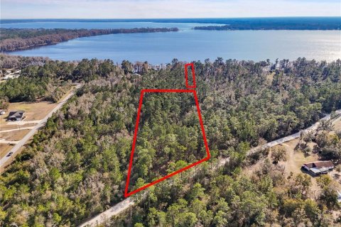 Land in Keystone Heights, Florida № 1848204 - photo 4
