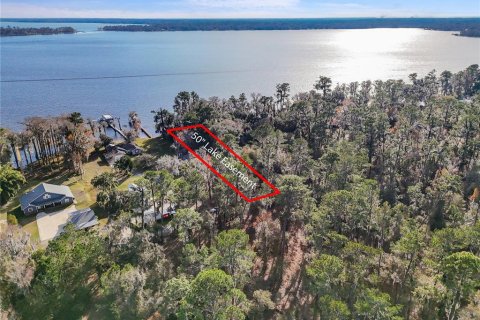 Land in Keystone Heights, Florida № 1848204 - photo 2