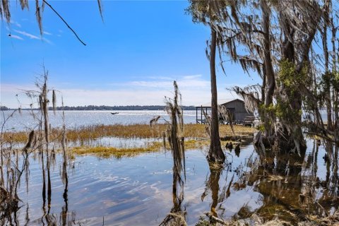 Land in Keystone Heights, Florida № 1848204 - photo 16