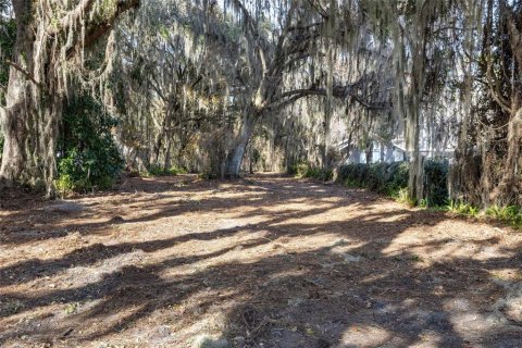 Land in Keystone Heights, Florida № 1848204 - photo 10