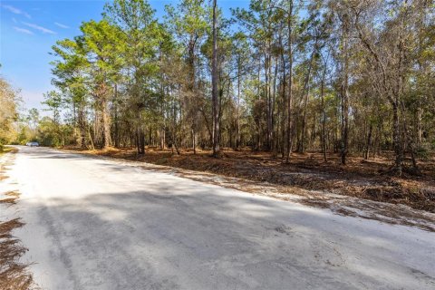 Land in Keystone Heights, Florida № 1848204 - photo 19