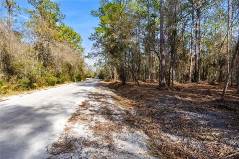 Land in Keystone Heights, Florida № 1848204 - photo 18