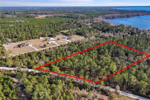 Land in Keystone Heights, Florida № 1848204 - photo 6