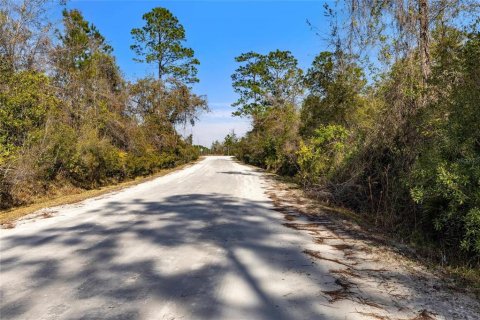 Land in Keystone Heights, Florida № 1848204 - photo 23