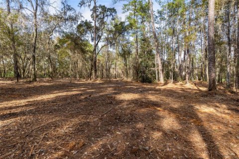 Land in Keystone Heights, Florida № 1848204 - photo 22