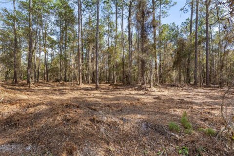 Land in Keystone Heights, Florida № 1848204 - photo 20