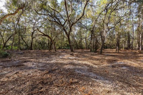Land in Keystone Heights, Florida № 1848204 - photo 21