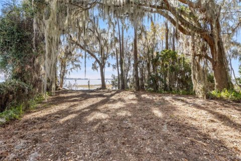 Land in Keystone Heights, Florida № 1848204 - photo 11