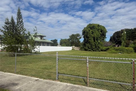 Land in Homestead, Florida № 2081754