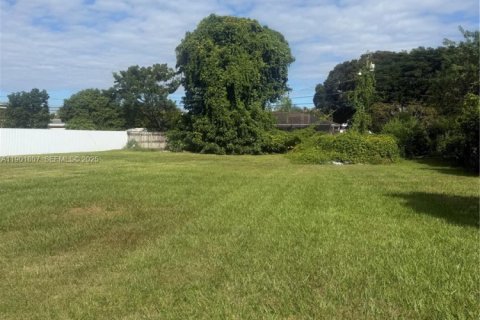 Land in Homestead, Florida № 2081754 - photo 4