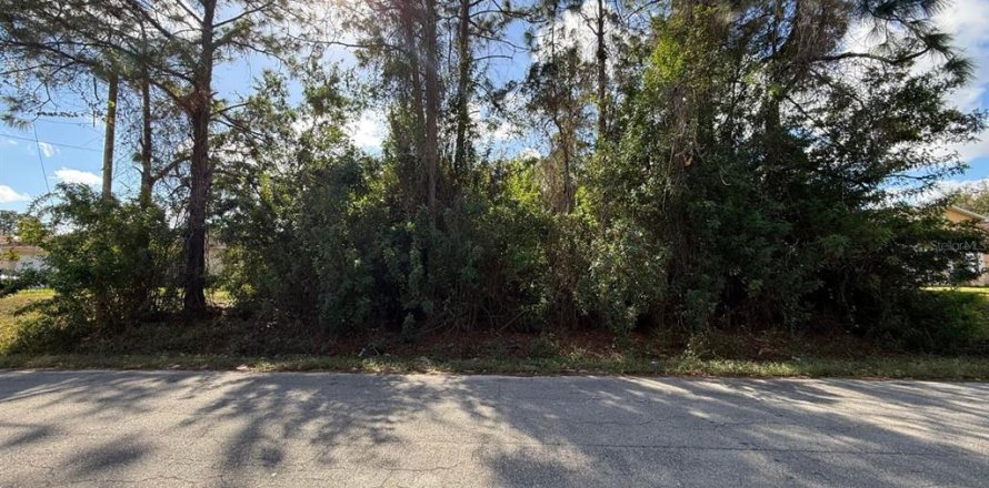 Land in Lehigh Acres, Florida № 2162095