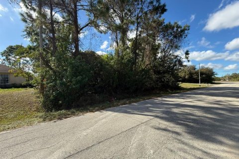 Land in Lehigh Acres, Florida № 2162095 - photo 3