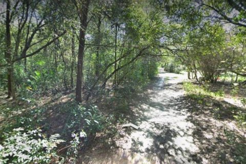Land in Zephyrhills, Florida № 1608776 - photo 2