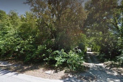 Land in Zephyrhills, Florida № 1608776 - photo 3
