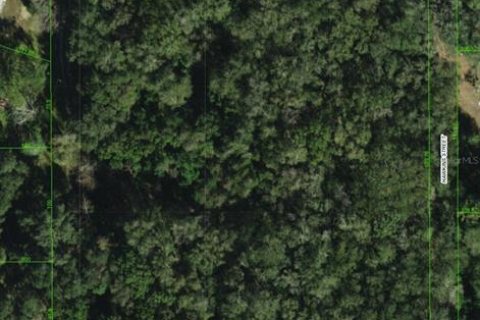 Land in Zephyrhills, Florida № 1608776 - photo 1